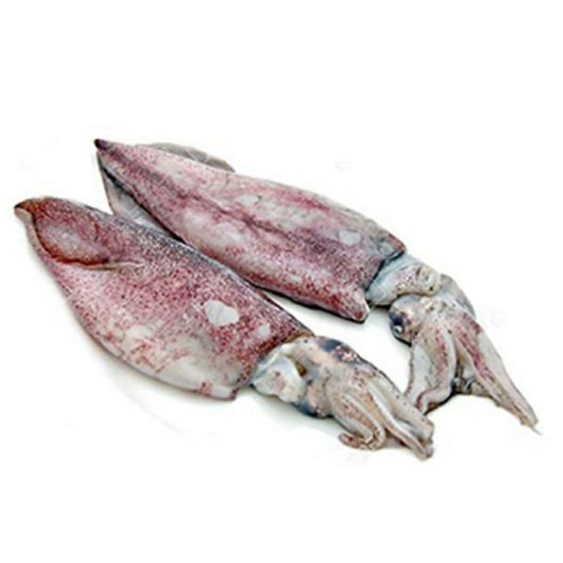 Squid/ Kanava. Price/kg